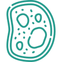 cytoplasm - Pearl Fertility