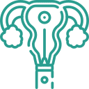 embryo - Pearl Fertility