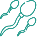 sperm - Pearl Fertility